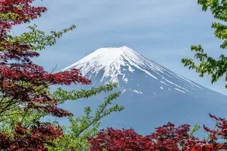 Sato Japanese Teaching & Tutoring
