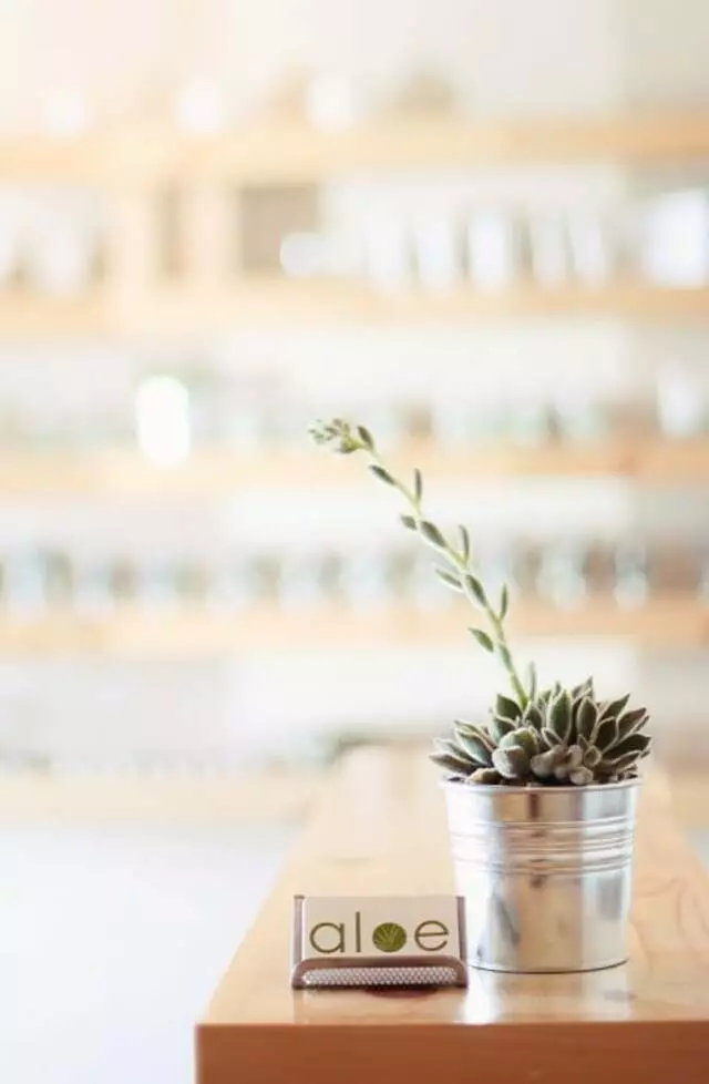 aloe skin + body