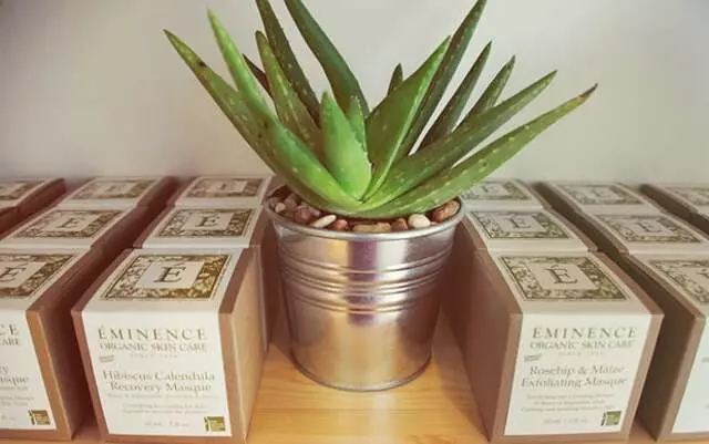 aloe skin + body