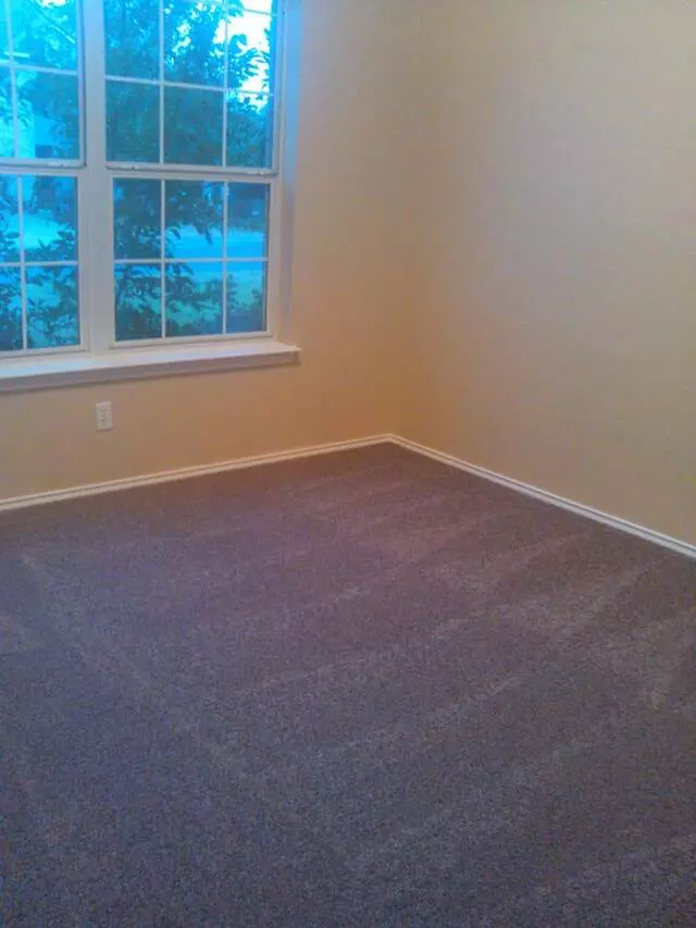 A Complete Cleaning