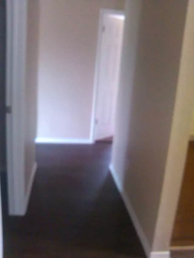 A Complete Cleaning
