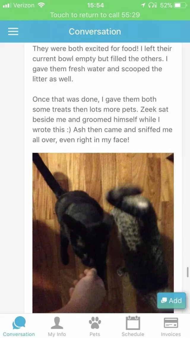 Austin Cat Sitters