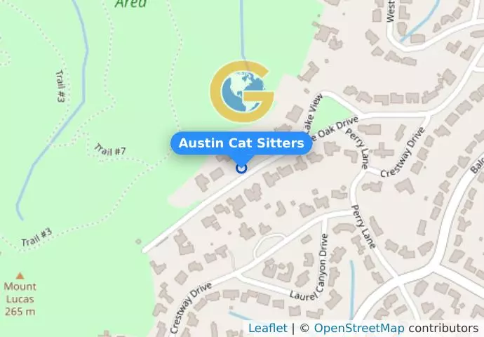 Austin Cat Sitters