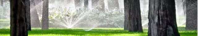 Austin Irrigation Group