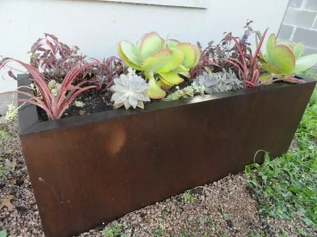 Artemantis Landscape