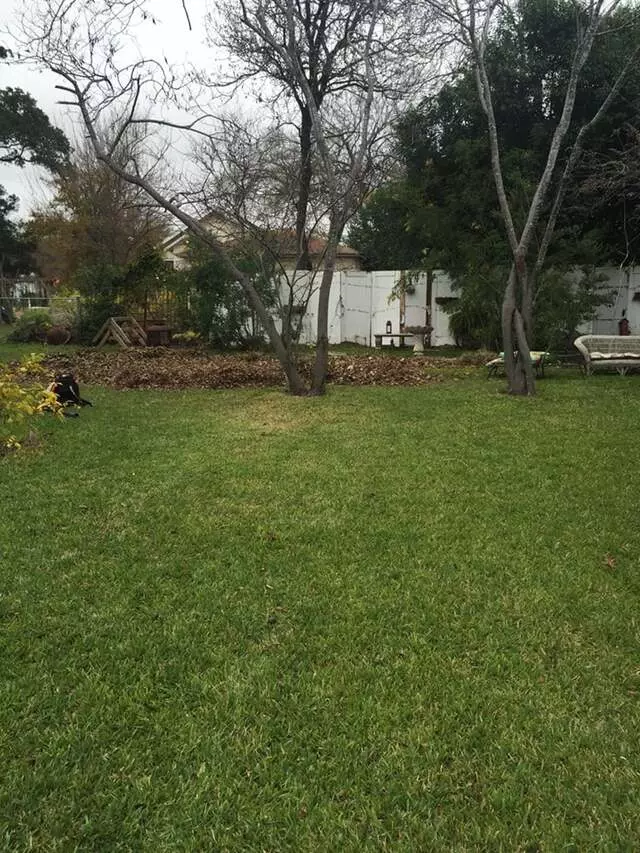 512 Lawn & Tree