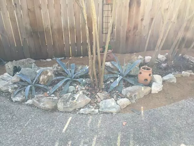 512 Lawn & Tree