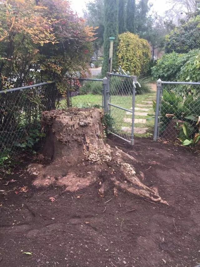 512 Lawn & Tree