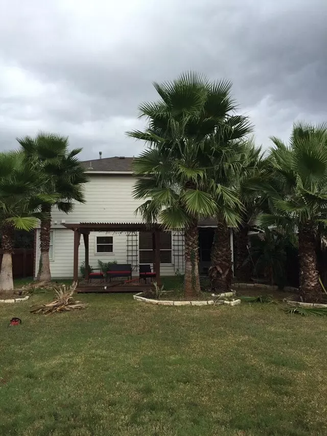 512 Lawn & Tree