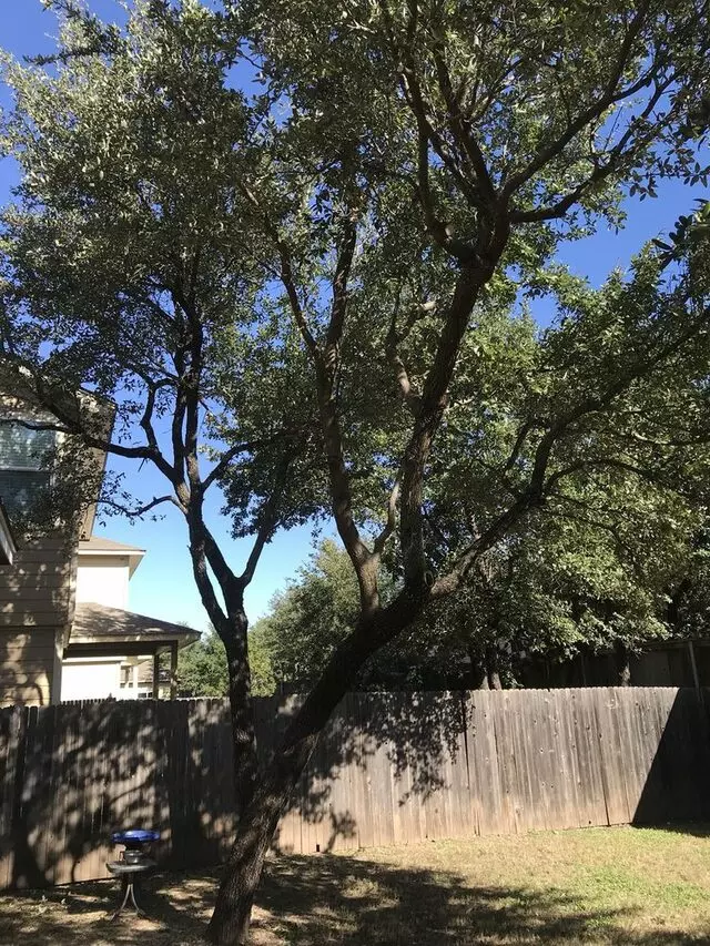 512 Lawn & Tree