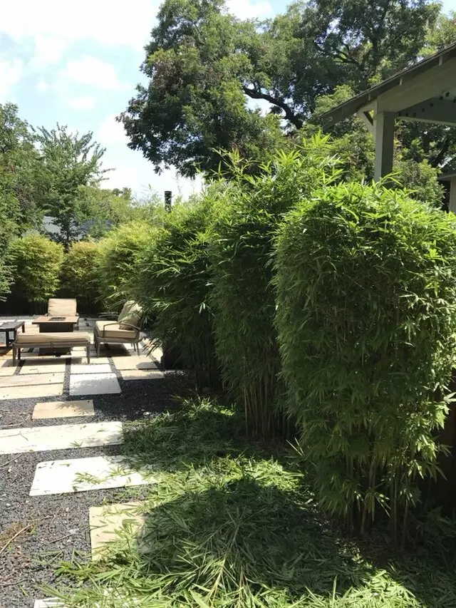 512 Lawn & Tree