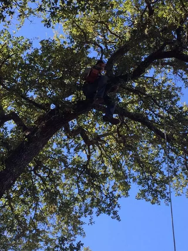 512 Lawn & Tree