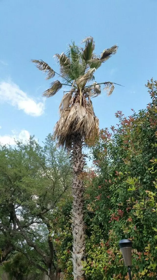 512 Lawn & Tree
