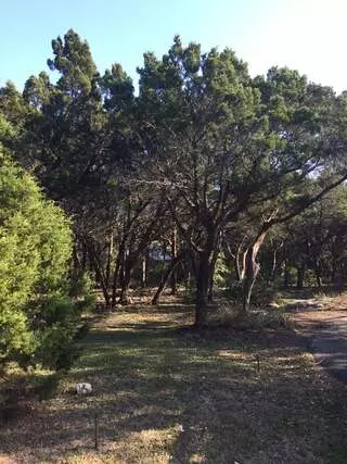512 Lawn & Tree