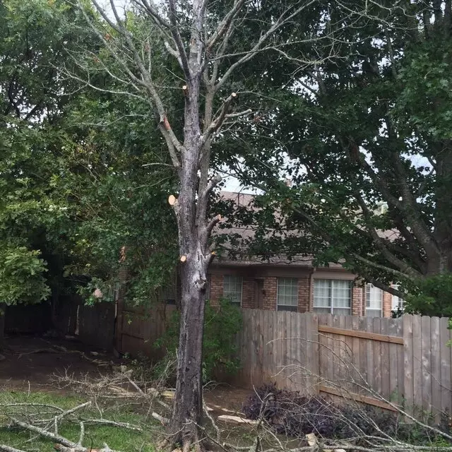 512 Lawn & Tree