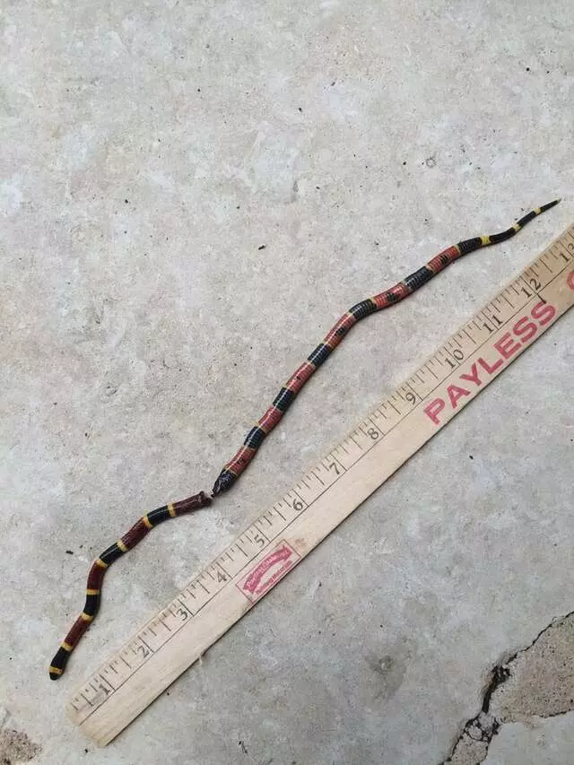 A Done Right Pest Control