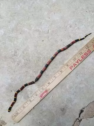 A Done Right Pest Control