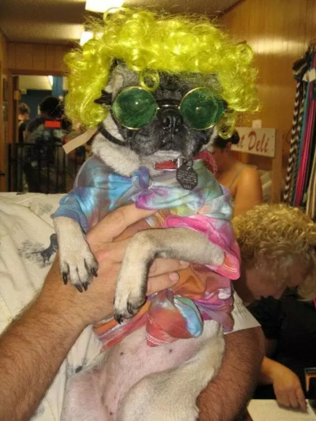 Austin Canine Central