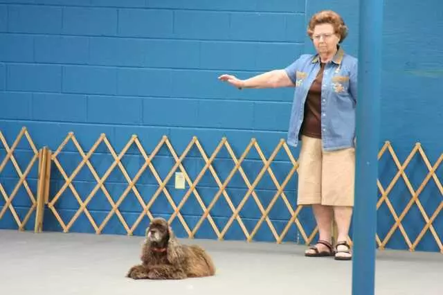 Austin Canine Central