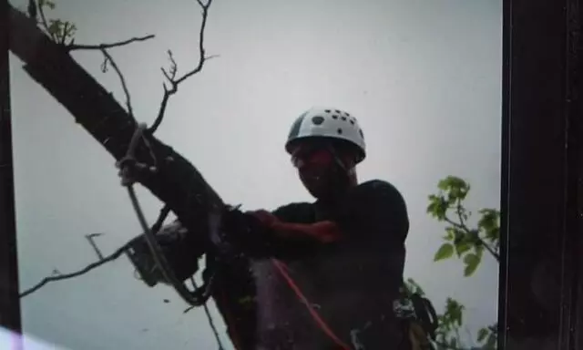1st Impressions Tree Experts