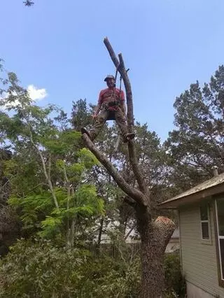 A McBride’s Tree Service