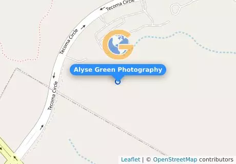 Alyse Green Photography