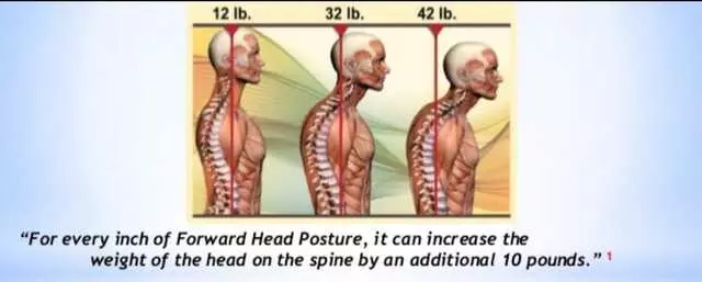 Austin Atlas  Orthogonal  Chiropractic