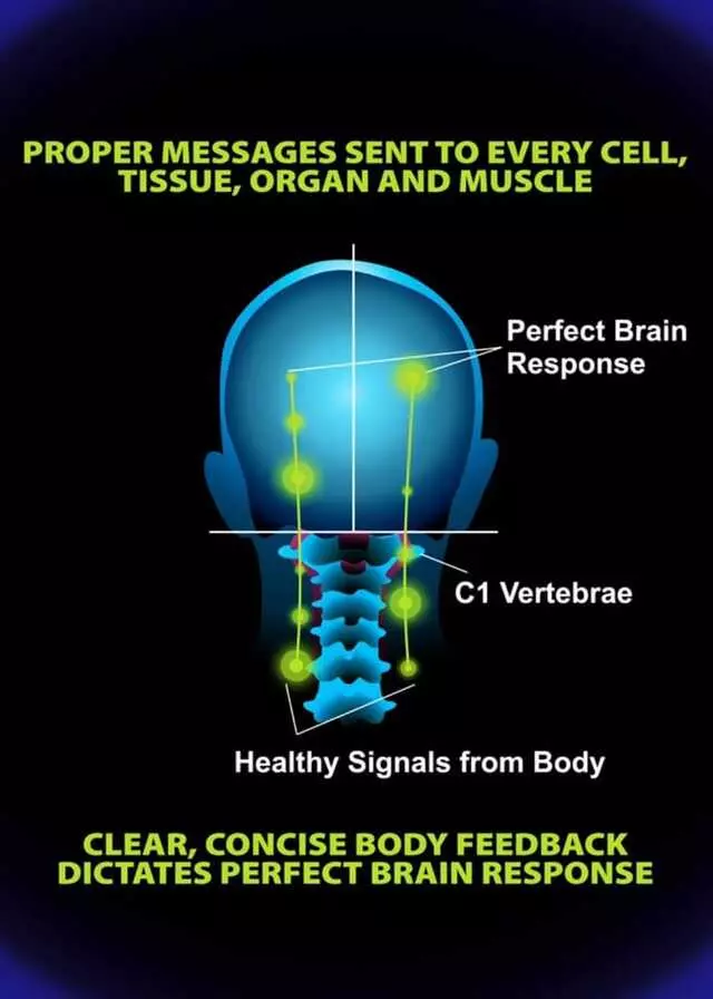 Austin Atlas  Orthogonal  Chiropractic