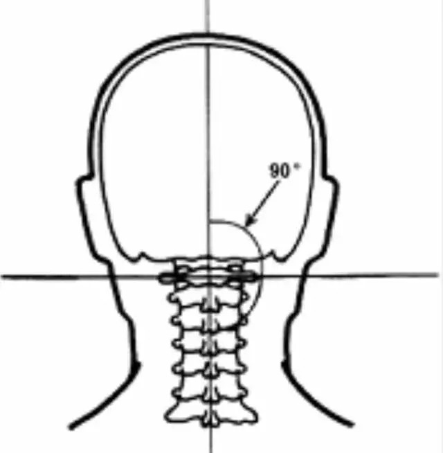 Austin Atlas  Orthogonal  Chiropractic