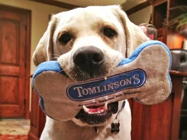 Tomlinson&apos;s