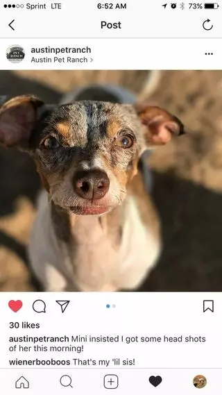 Austin Pet Ranch
