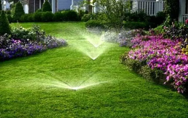 Austin Irrigation Management