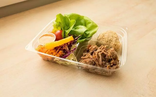 Bento Picnic