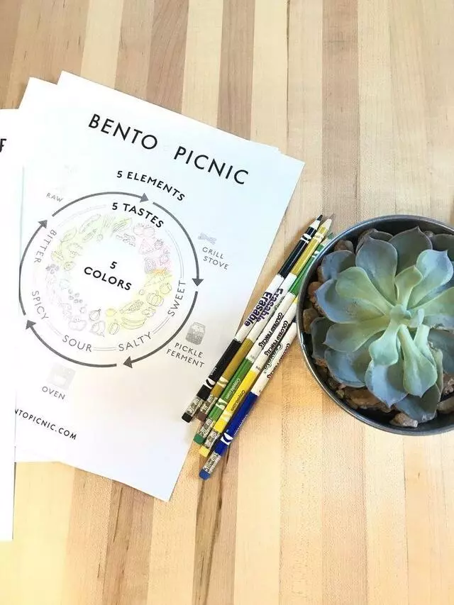 Bento Picnic