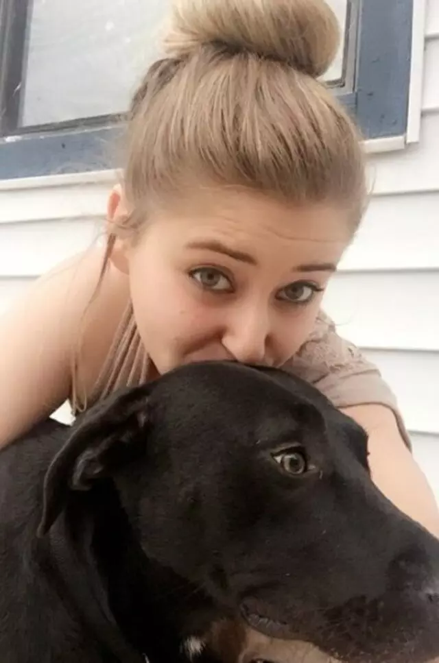 A Plus Pets