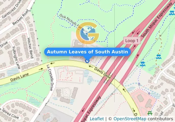 Autumn Leaves of South Austin