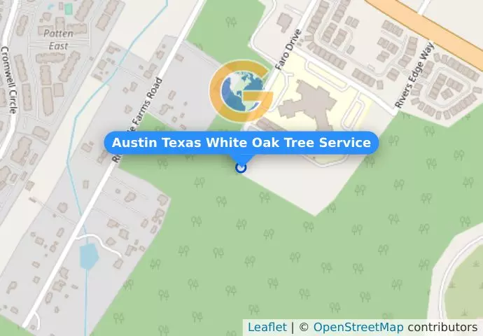 Austin Texas White Oak Tree Service