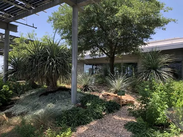 Austin Central Library