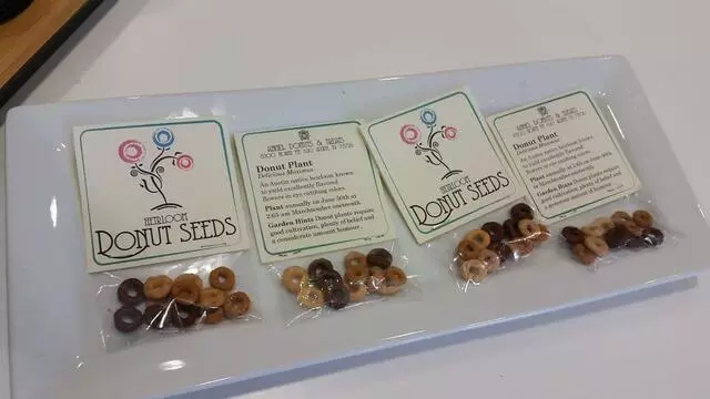Angel Donuts & Treats