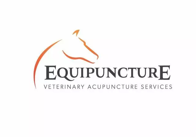 Austin Logo Designs