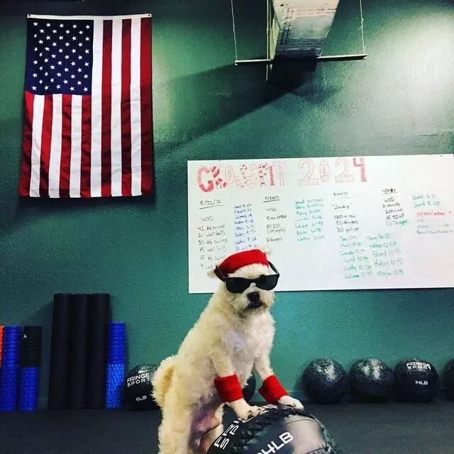 CrossFit 2024