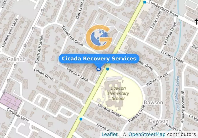 Cicada Recovery Services