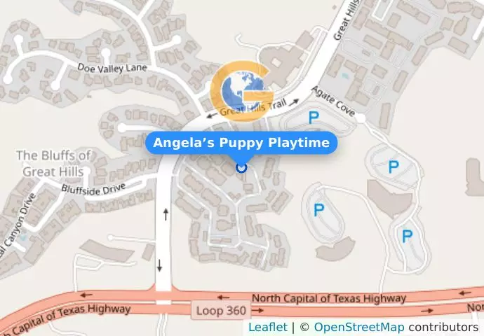 Angela’s Puppy Playtime