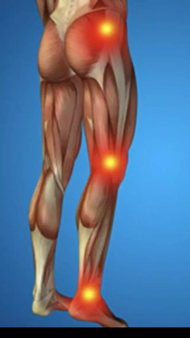 512 Physical Therapy and Golf Performance Center