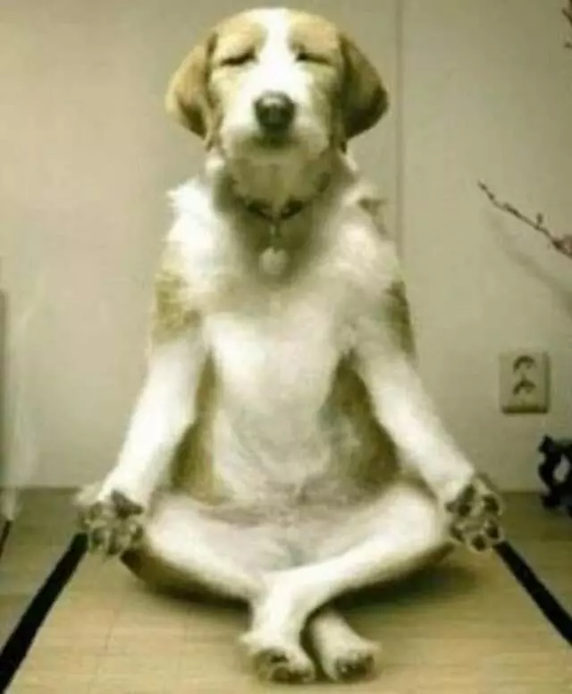 Acupuncture For Life