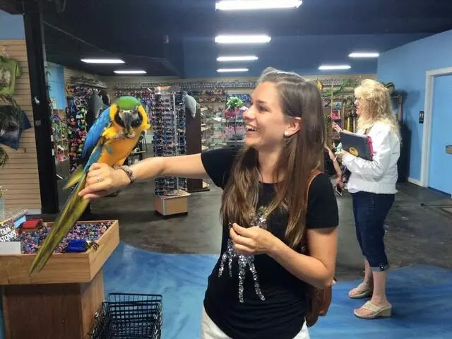 Austin Language Learning School