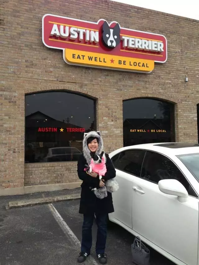 Austin Terrier