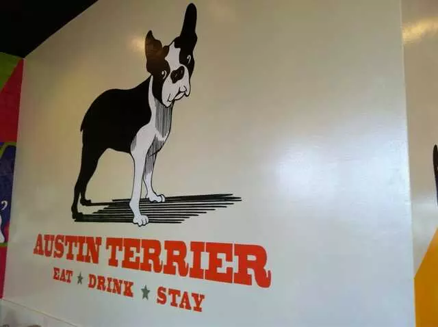 Austin Terrier