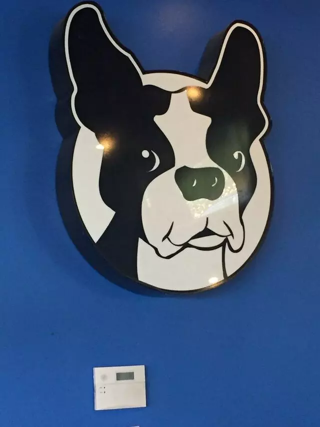 Austin Terrier