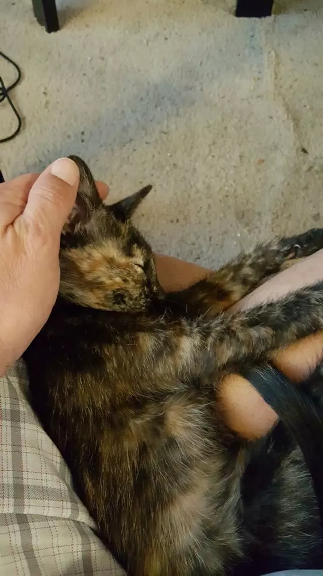 Austin Humane Society